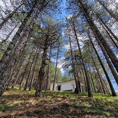 Bujtinat Skenderi Gjinar 2 Villa Екстериор снимка