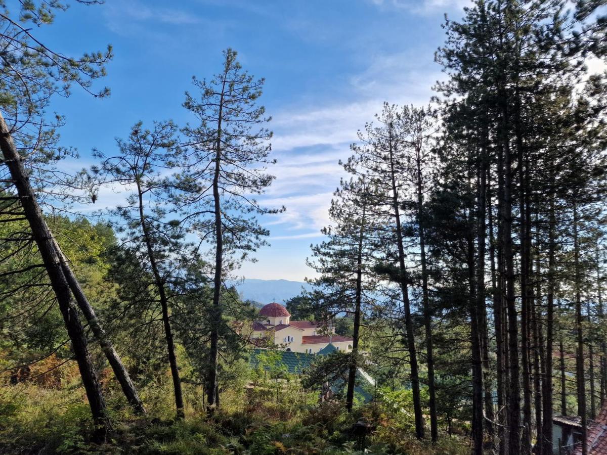 Bujtinat Skenderi Gjinar 2 Villa Екстериор снимка