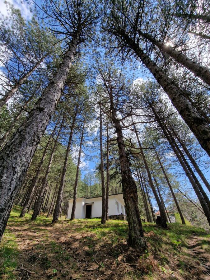 Bujtinat Skenderi Gjinar 2 Villa Екстериор снимка