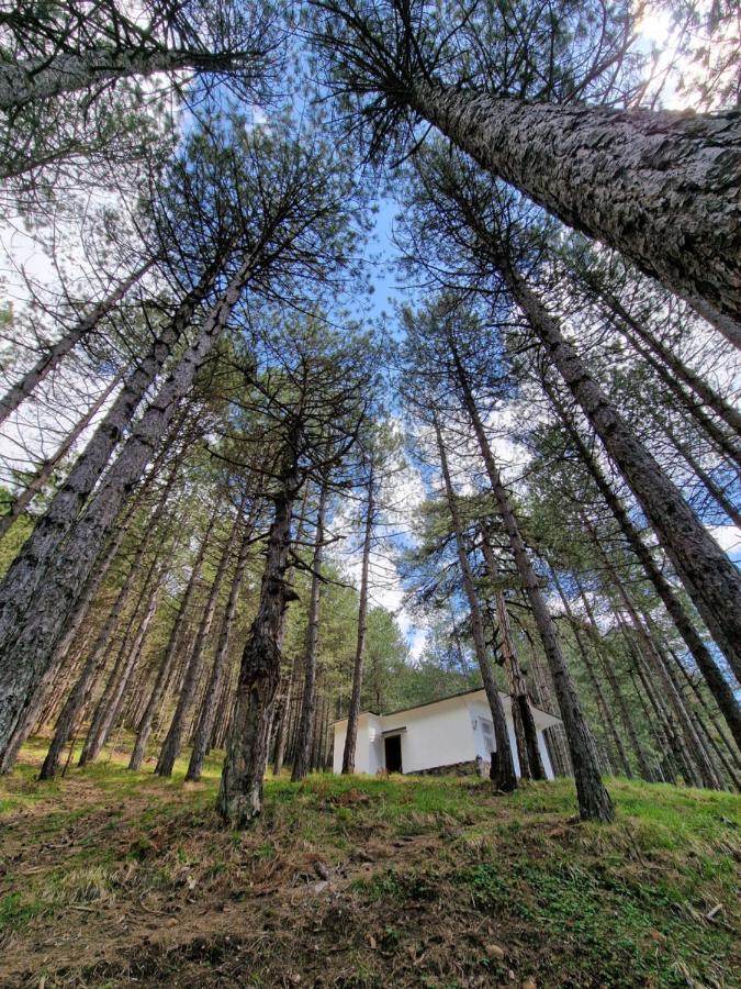 Bujtinat Skenderi Gjinar 2 Villa Екстериор снимка