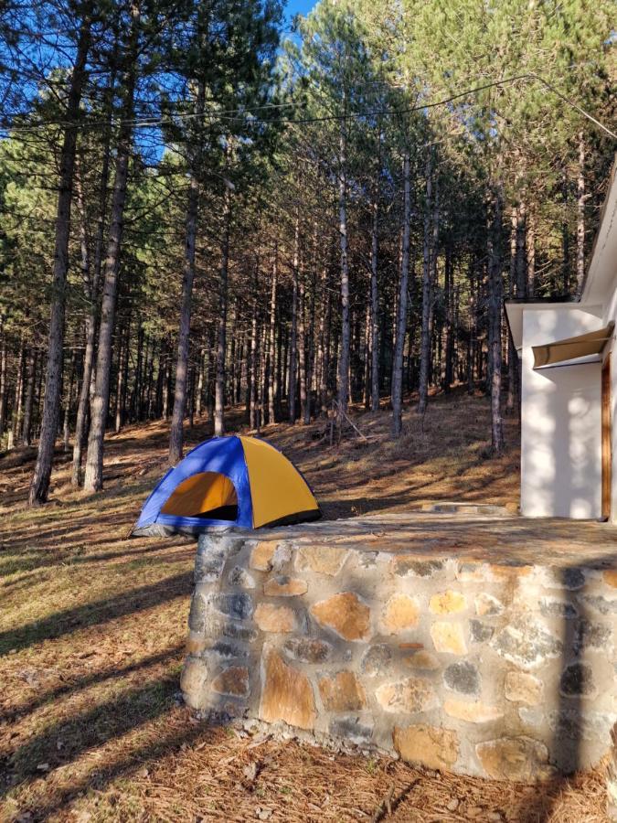 Bujtinat Skenderi Gjinar 2 Villa Екстериор снимка