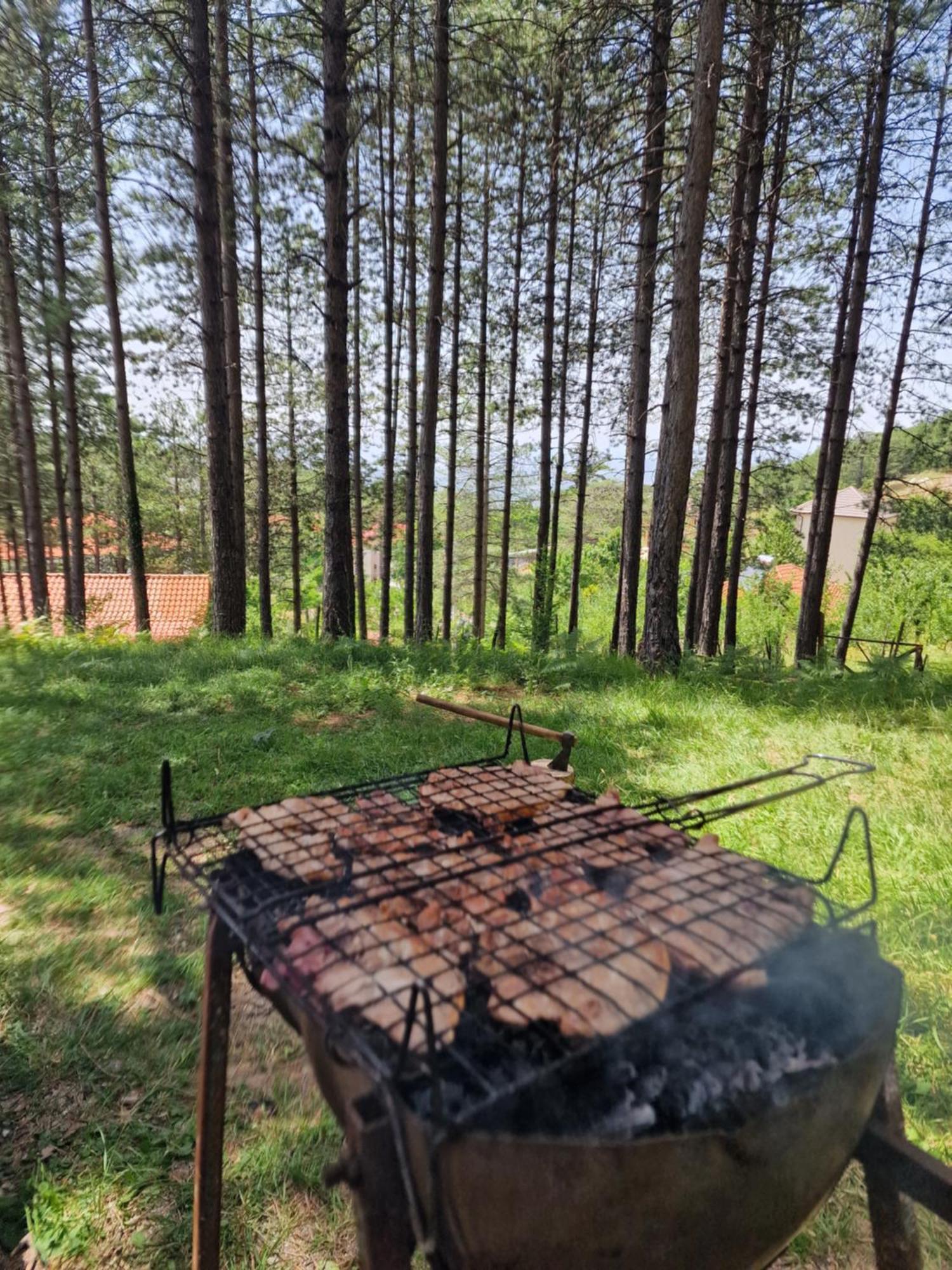 Bujtinat Skenderi Gjinar 2 Villa Екстериор снимка