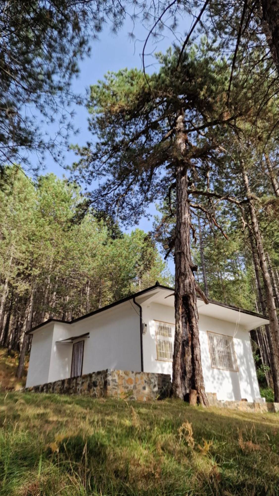 Bujtinat Skenderi Gjinar 2 Villa Екстериор снимка